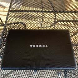 3rd Gen Toshiba Win 10, 8GB ram, SSD, HDMI, Webcam, and HDMI!