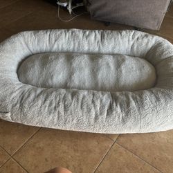 Human Size Dog Bed