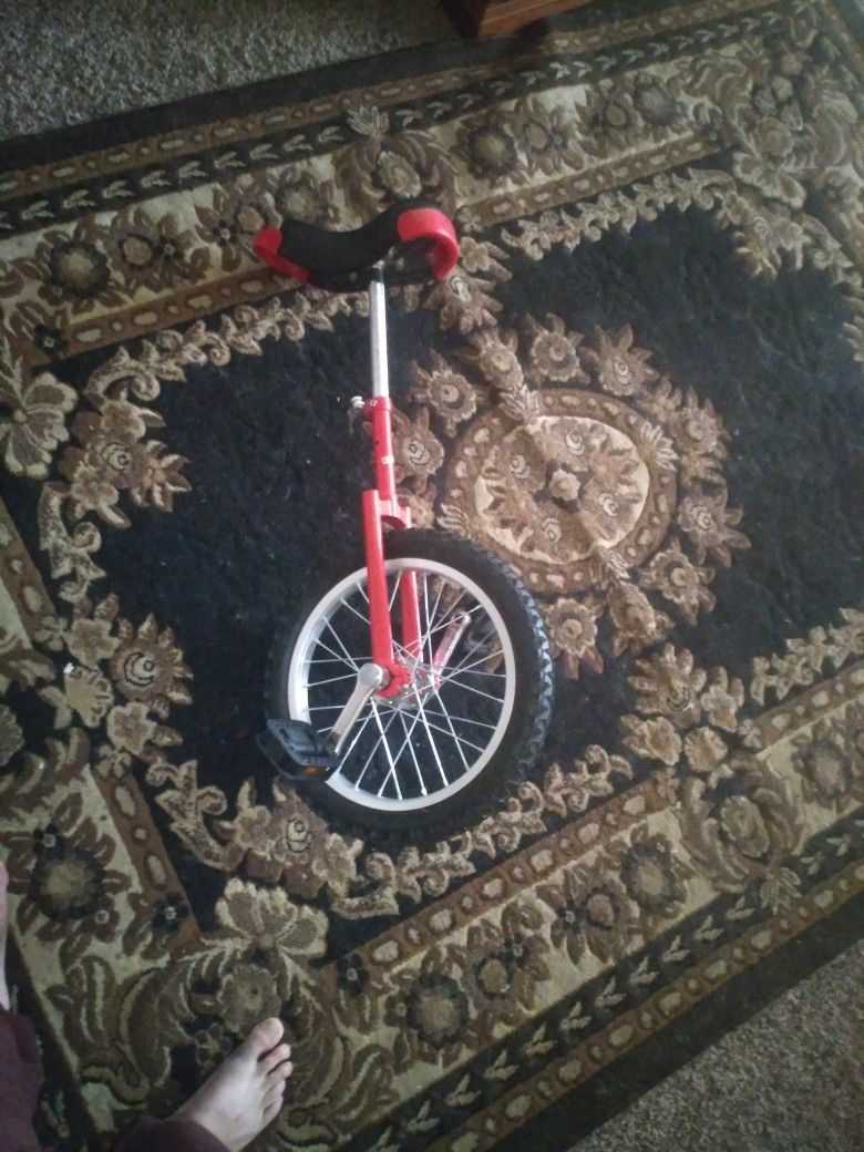 Unicycle