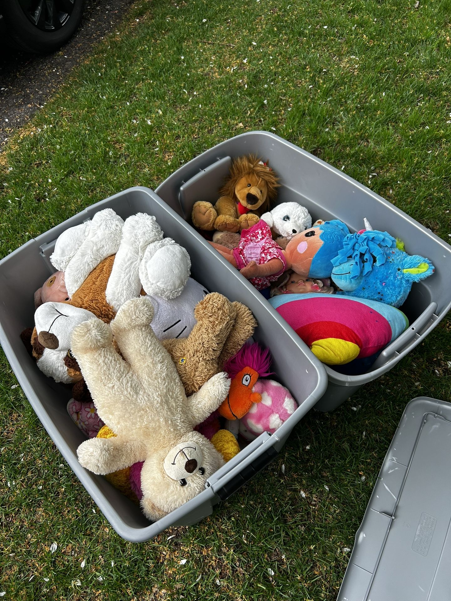 Stuffed animals