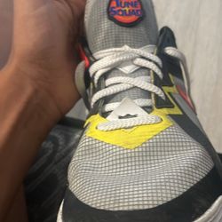 LeBron Sylvester X Tweety Bird Size 10