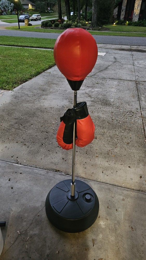 Punching Bag with Gloves - $50 OBO