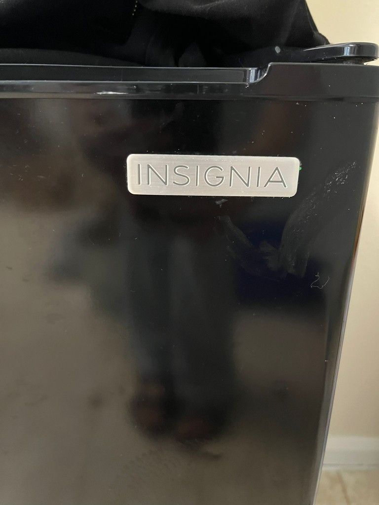 Mini Cooler Fridge