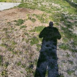 Weed Removal & Tractor Services 