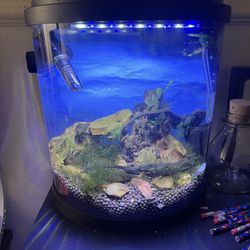 3.5 Gallon Fresh Water Fish Tank
