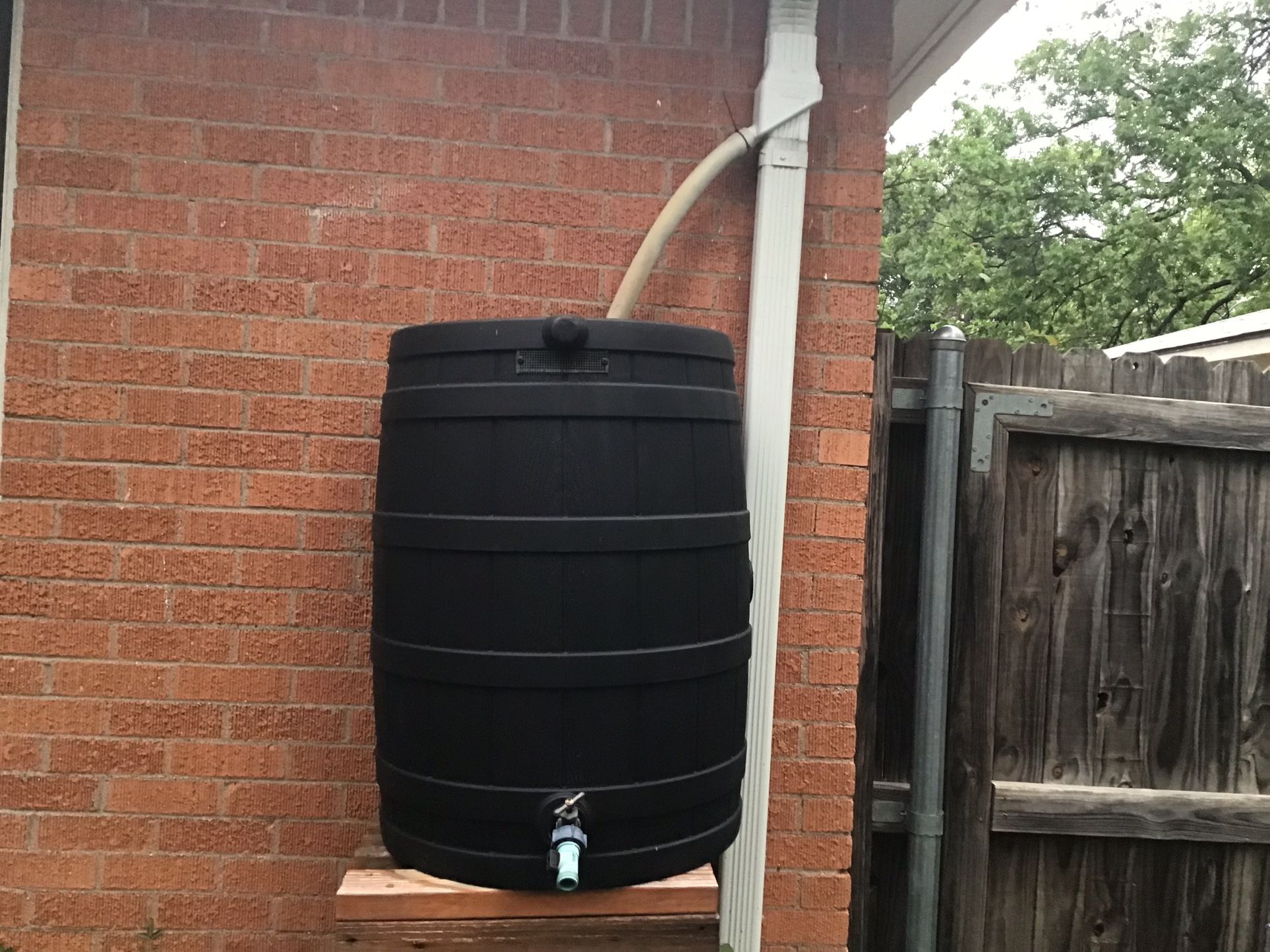 Rain Barrel