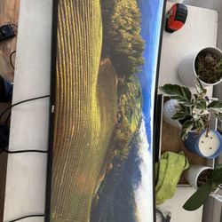 Dell 34” Ultrawide, Curved Gaming Monitor 