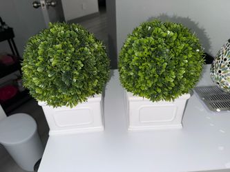 12  Various artificial decorative plants