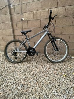 Silver MTB