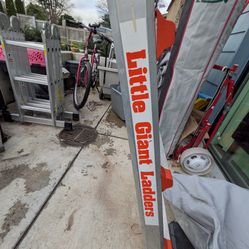 Little Giant Ladder