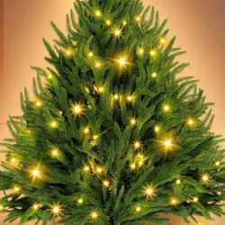 Christmas Tree (wall flat) With Lights