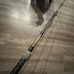 Seeker Black Steel 15-40 8’ jig stick salt water fishing rod