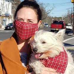 Bandana Para Tus Mascotas.