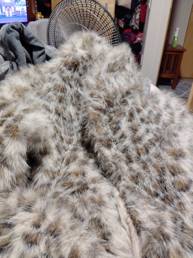 Wild Fable Coat