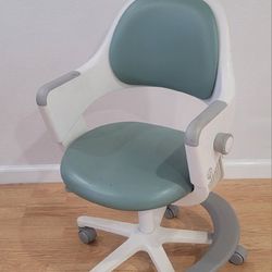Sediz Ergonomic Kids Chair – Excellent Condition (Anaheim)