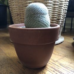 Mammillaria Elegans Plant Cactus