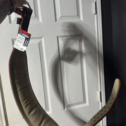 6” Padded Leather Weight Lifting Belt