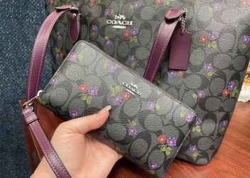 Coach Wallet And Bag