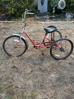 Miami Sun 3-wheel bicycle