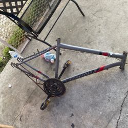 Bike Frame 