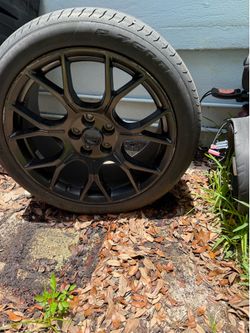 Mustang 19 in Rim