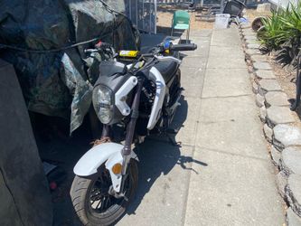 Honda grom clone
