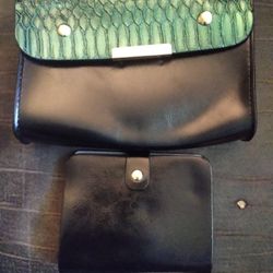 Small Green Crocodile Purse And Wallet Set