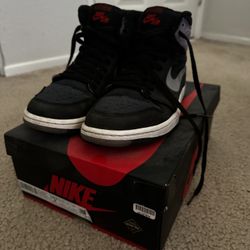 Air Jordan 1s X Goretex