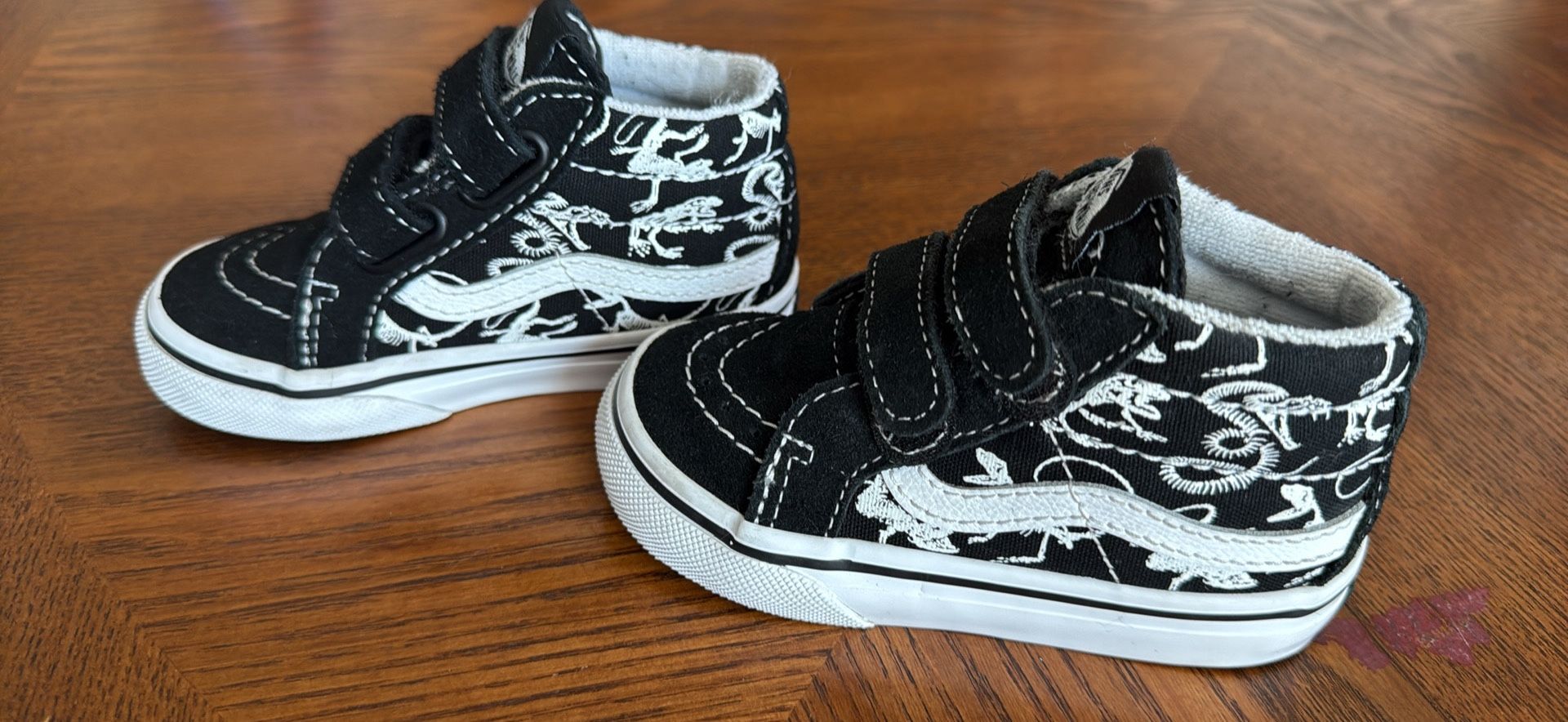5.5 Boys Dino Vans