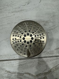 Moen Shower Head