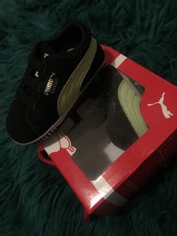 Infant pumas