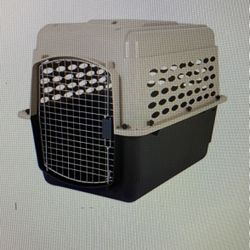 Dog Kennel