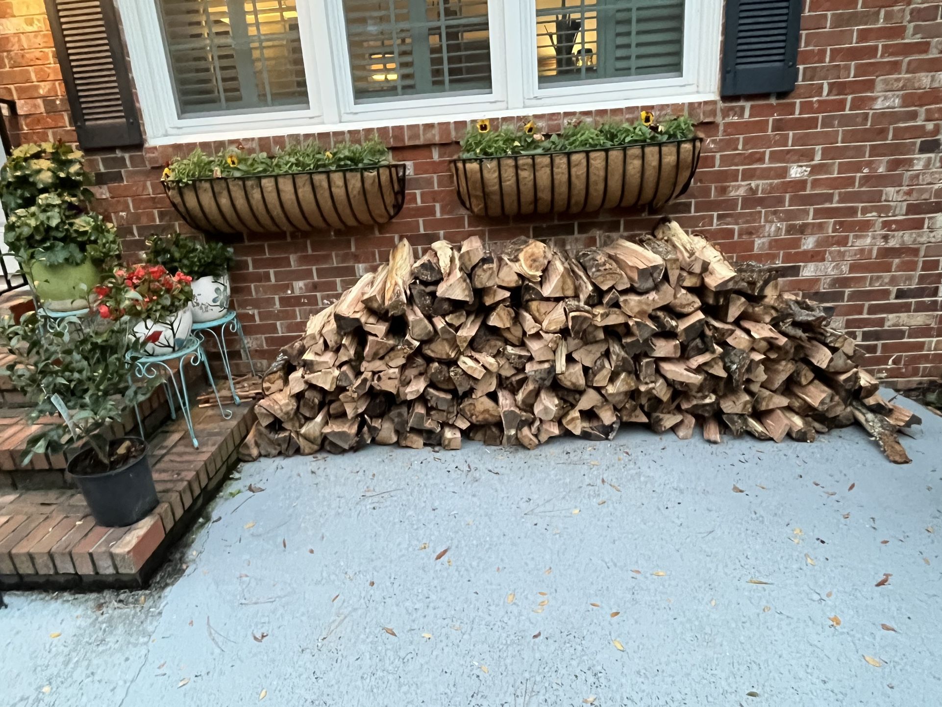 Firewood 🪵🥶🥶🥶