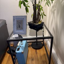 Modern Black Frame Glass End Table