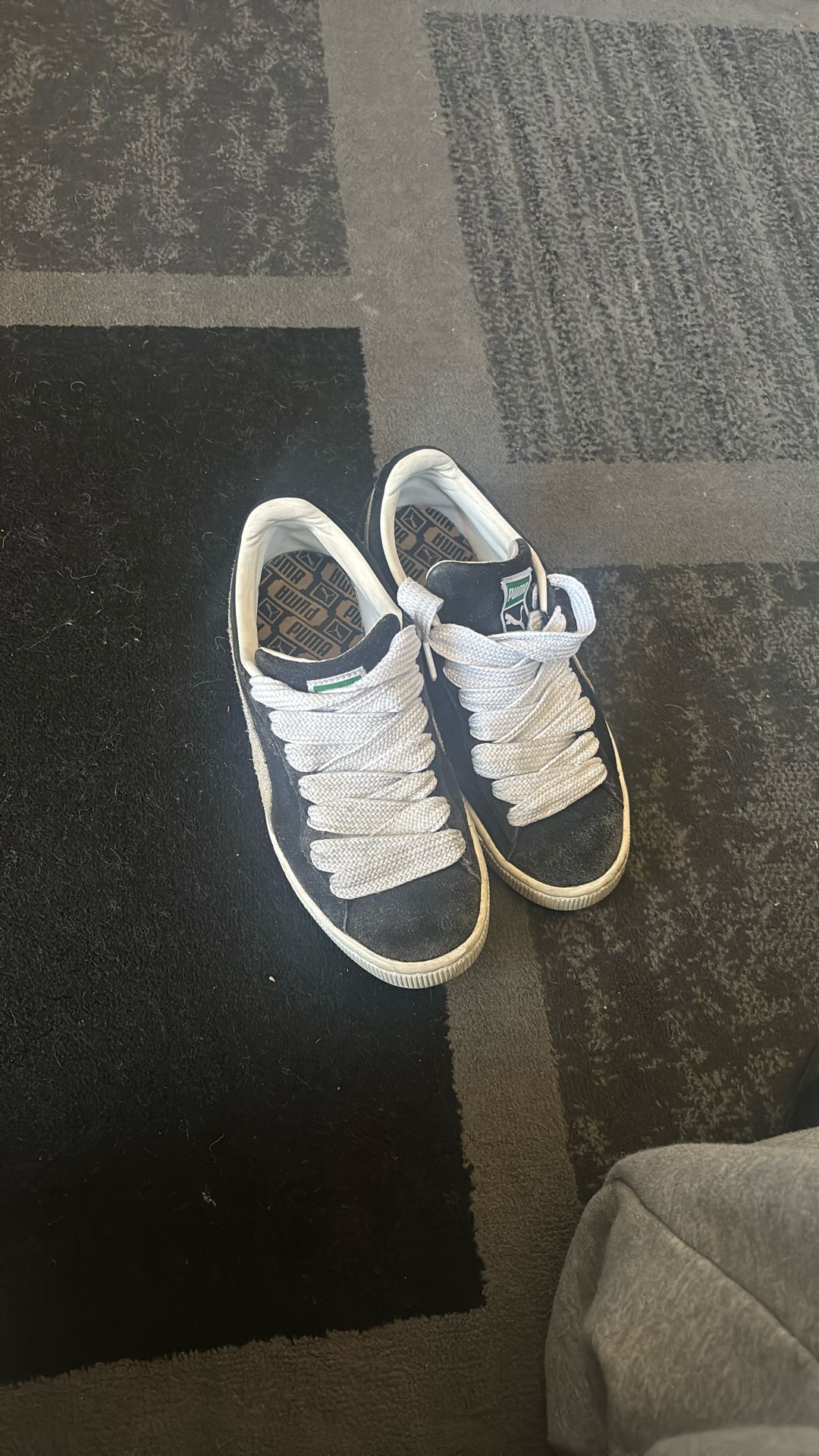 Pumas 