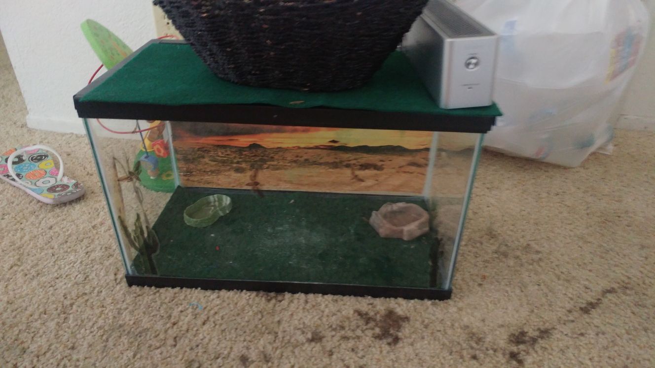 10 gal tank