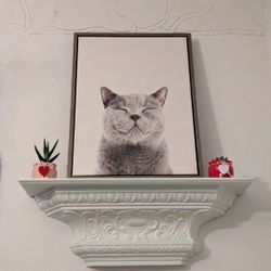 Smiling Cat Cavanas 😺