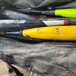 For Bats 