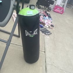 Punching Bag