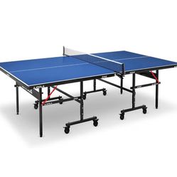 Ping Pong Table