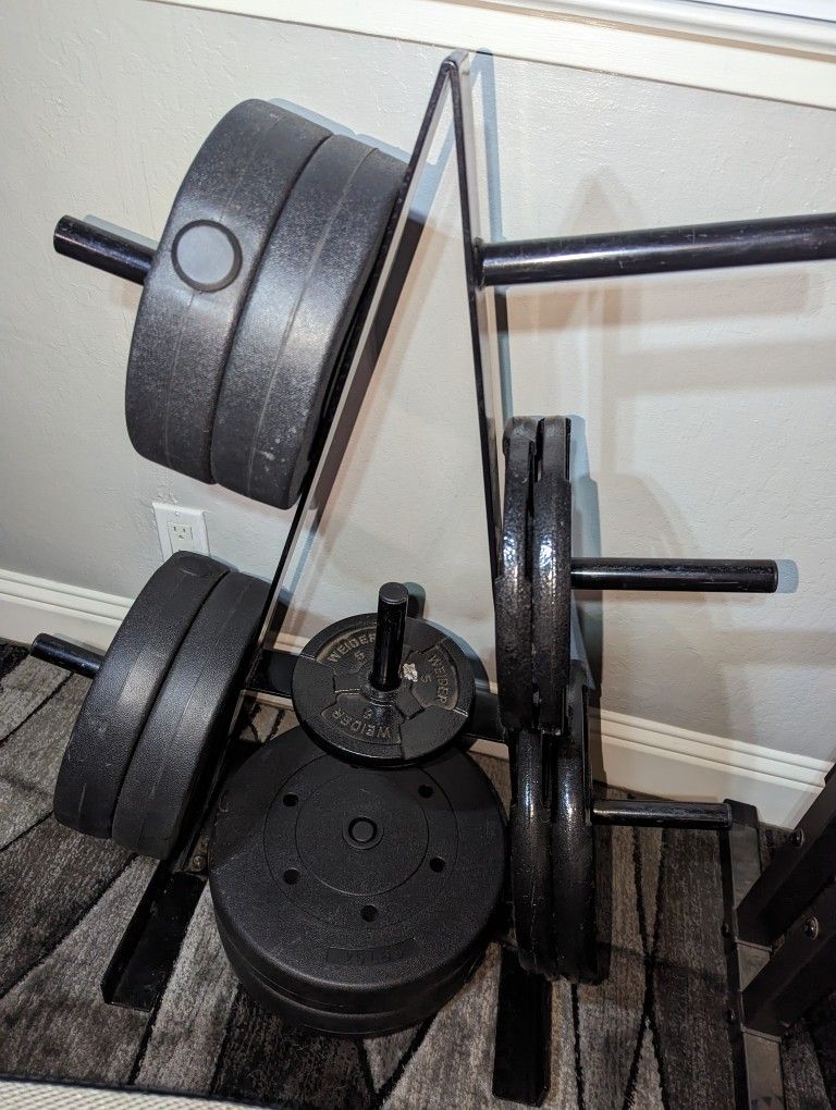 Weight Plates + Rack