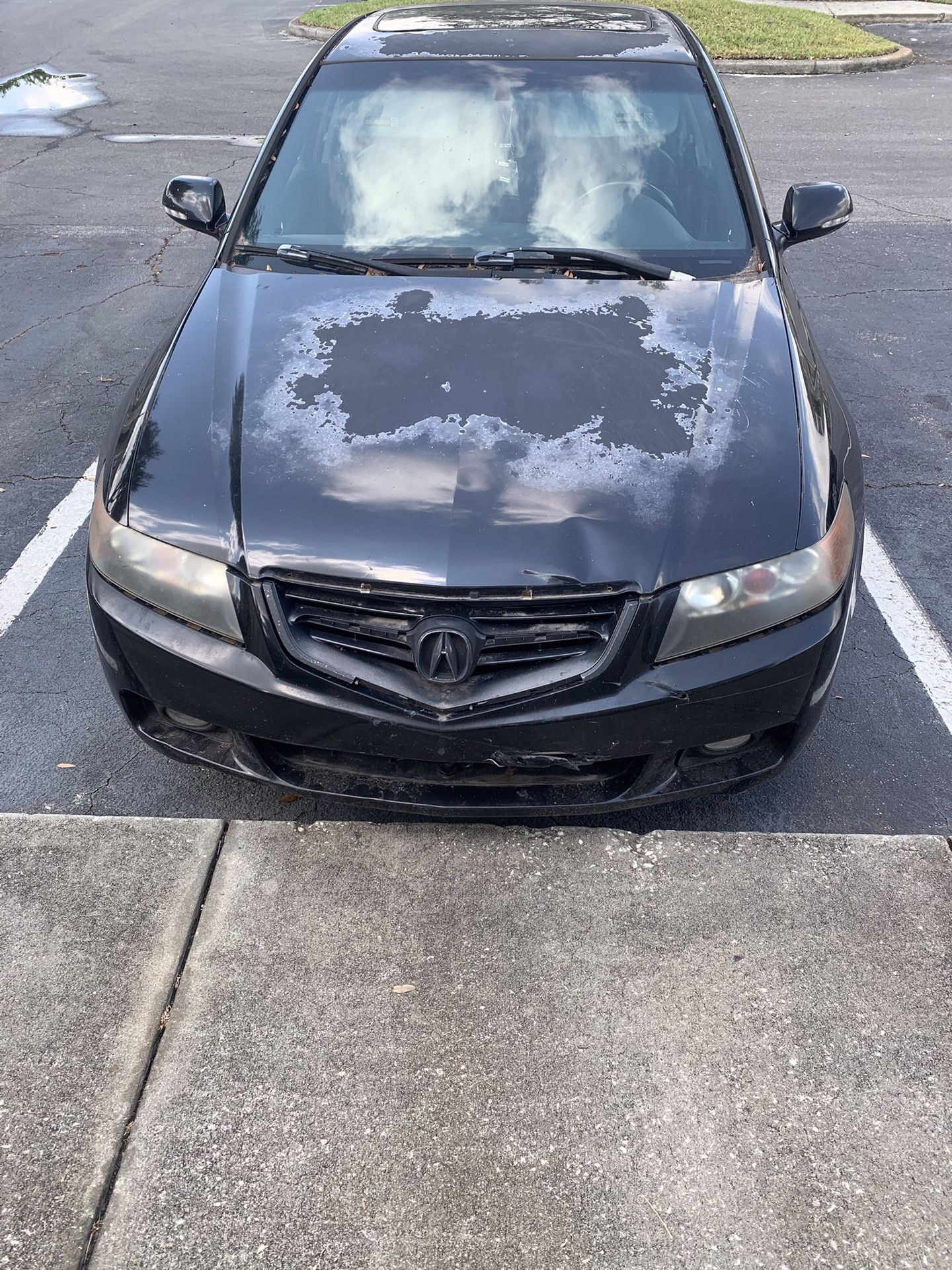 2005 Acura TSX