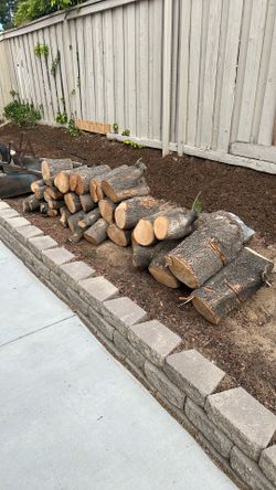 Firewood/free