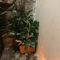 Artificial Plant Not Free 