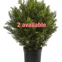 Nearly Natural 2ft. Cedar Artificial Bush (Indoor/Outdoor)
