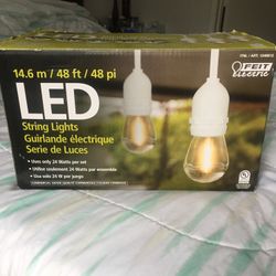 Led String Lights Outdoor Decoration 24 Bulbs 2 Extra  48 Feet White Cord