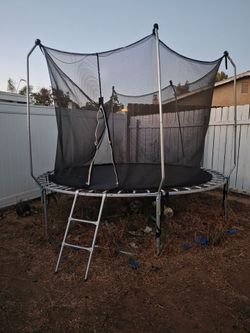 $50 trampoline mus go You must pick up
