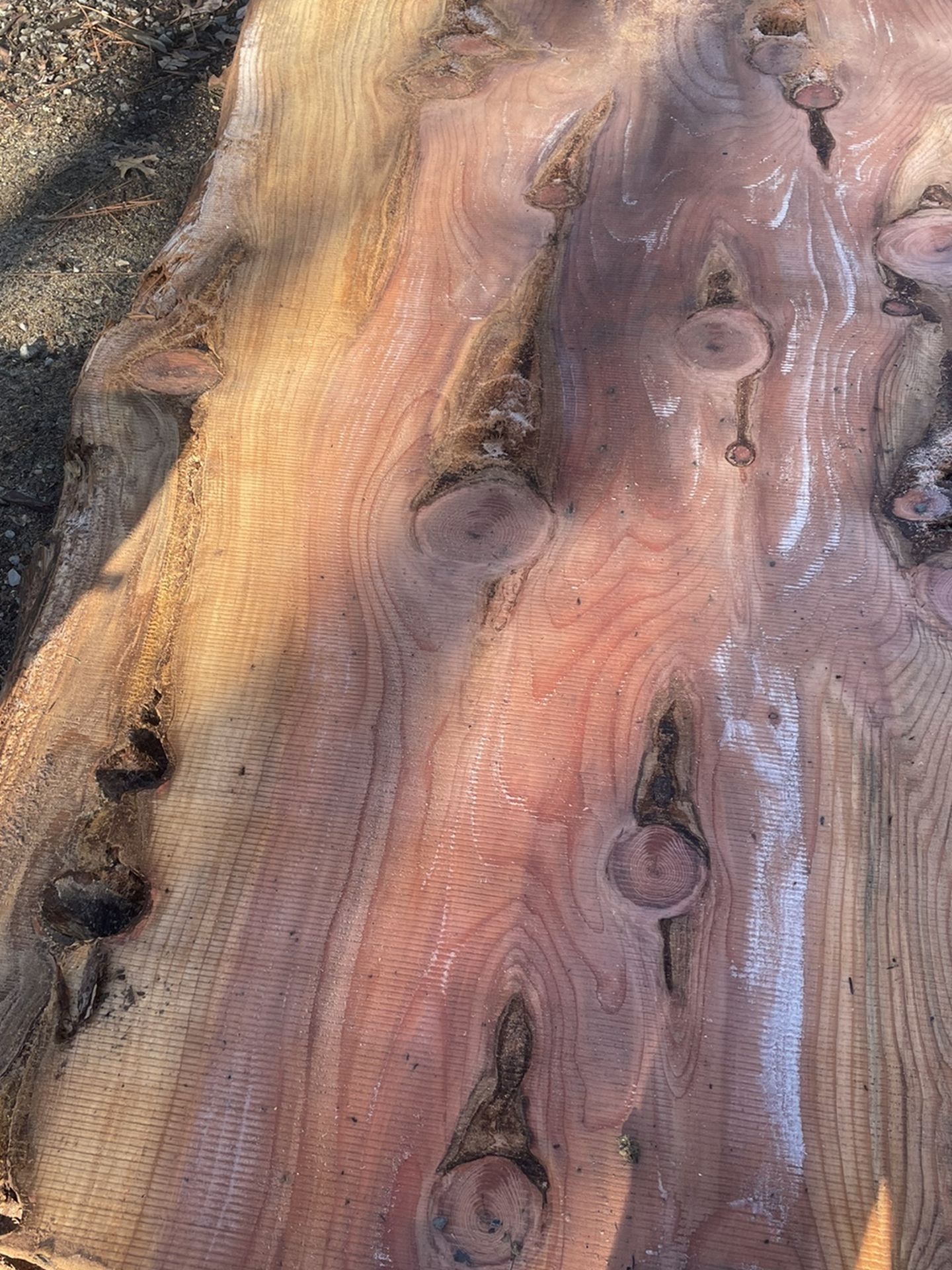 Bunch Of Big Redwood And Fir Live Edge Slabs