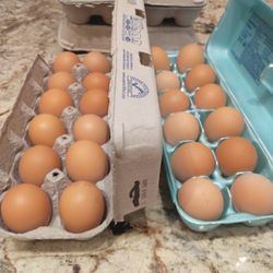 Fresh Eggs! Available Today! First Come First Serve! While Supply Lasts 