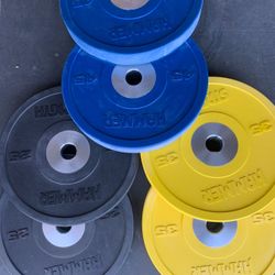 Bumper Plates 2 25, 2 36 And 2 45 Pounds 